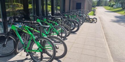 Kääriku SUP laua ja rattalaenutus