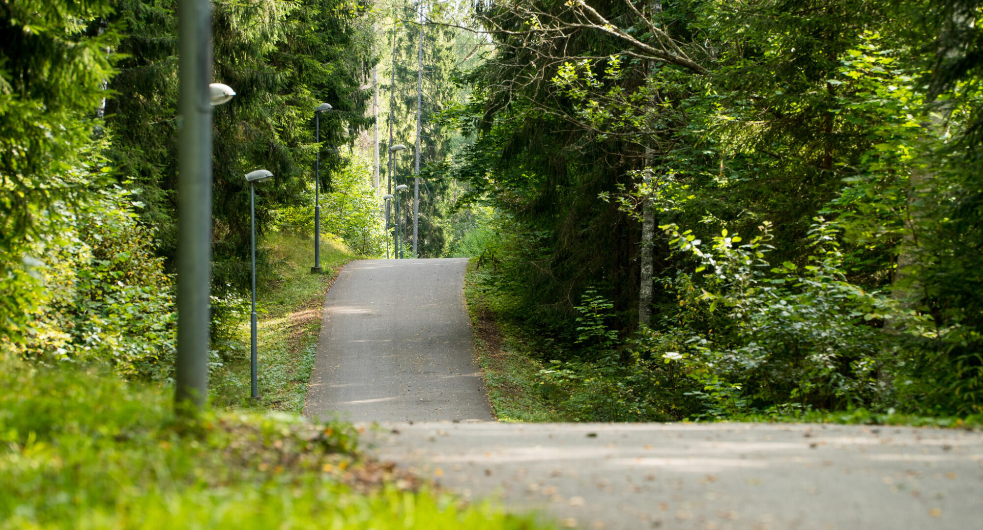 k-riku-hiking-trails-k-riku-spordikeskus